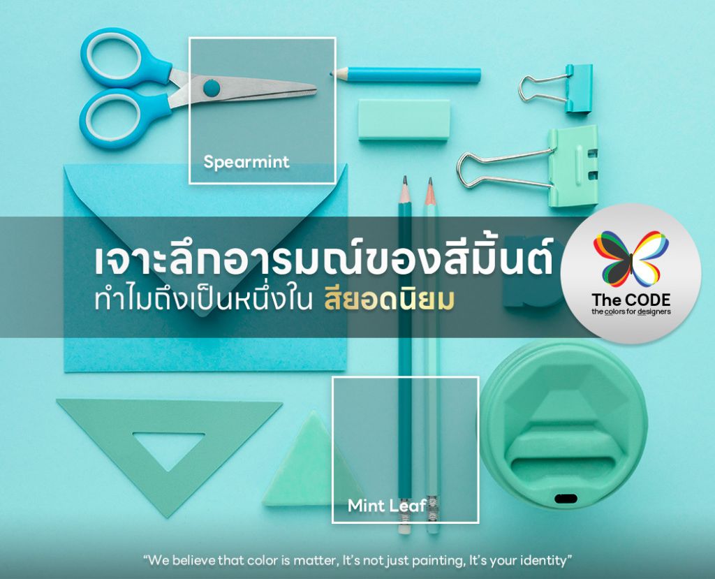 เจาะลึกอารมณ์ของสีมิ้นต์ ทำไมถึงเป็นหนึ่งในสียอดนิยม