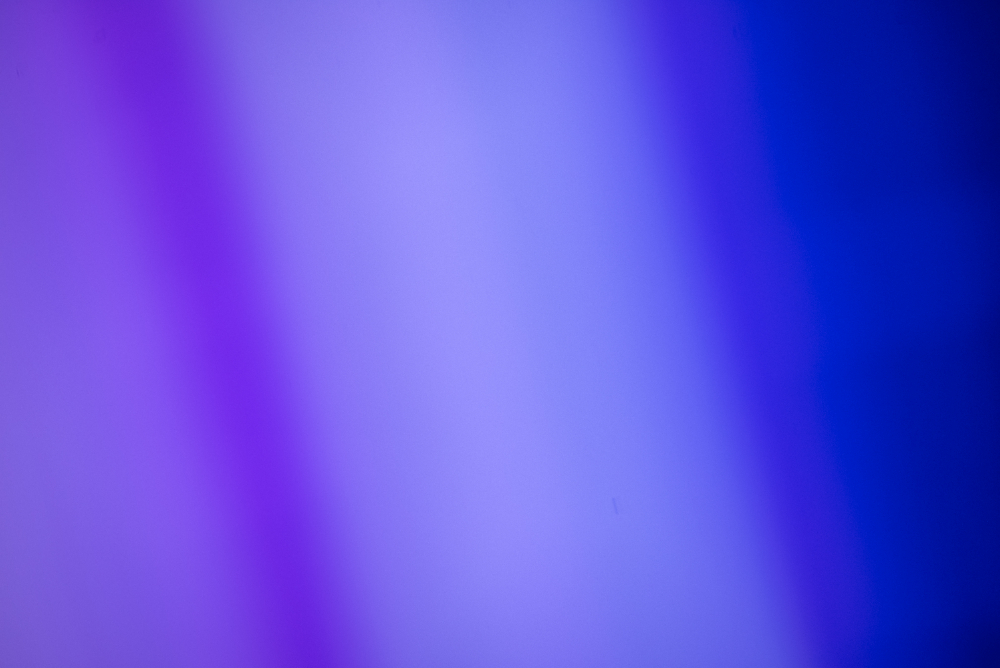 Skipper Blue
